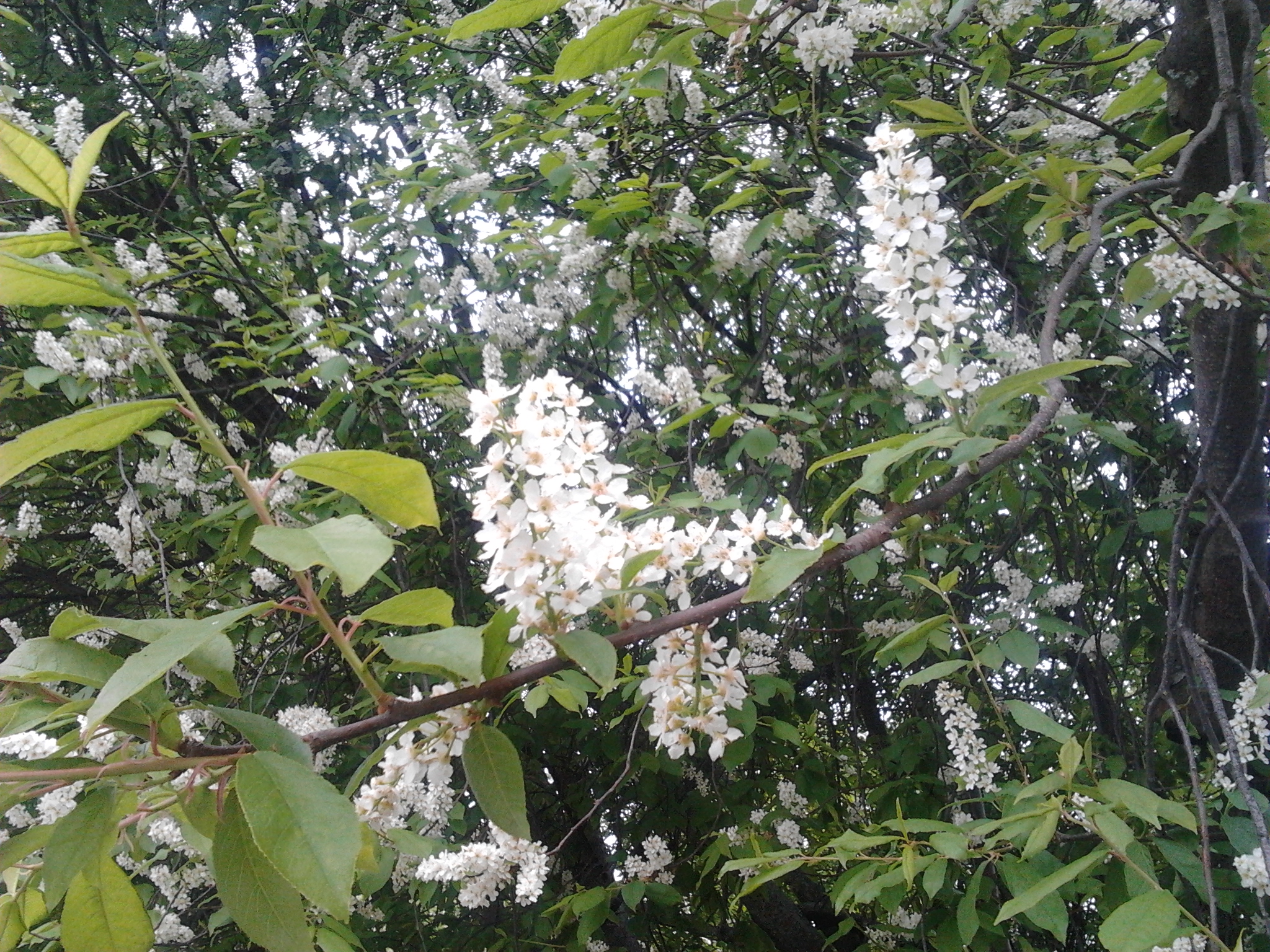2013-05-24_18.09.47.jpg