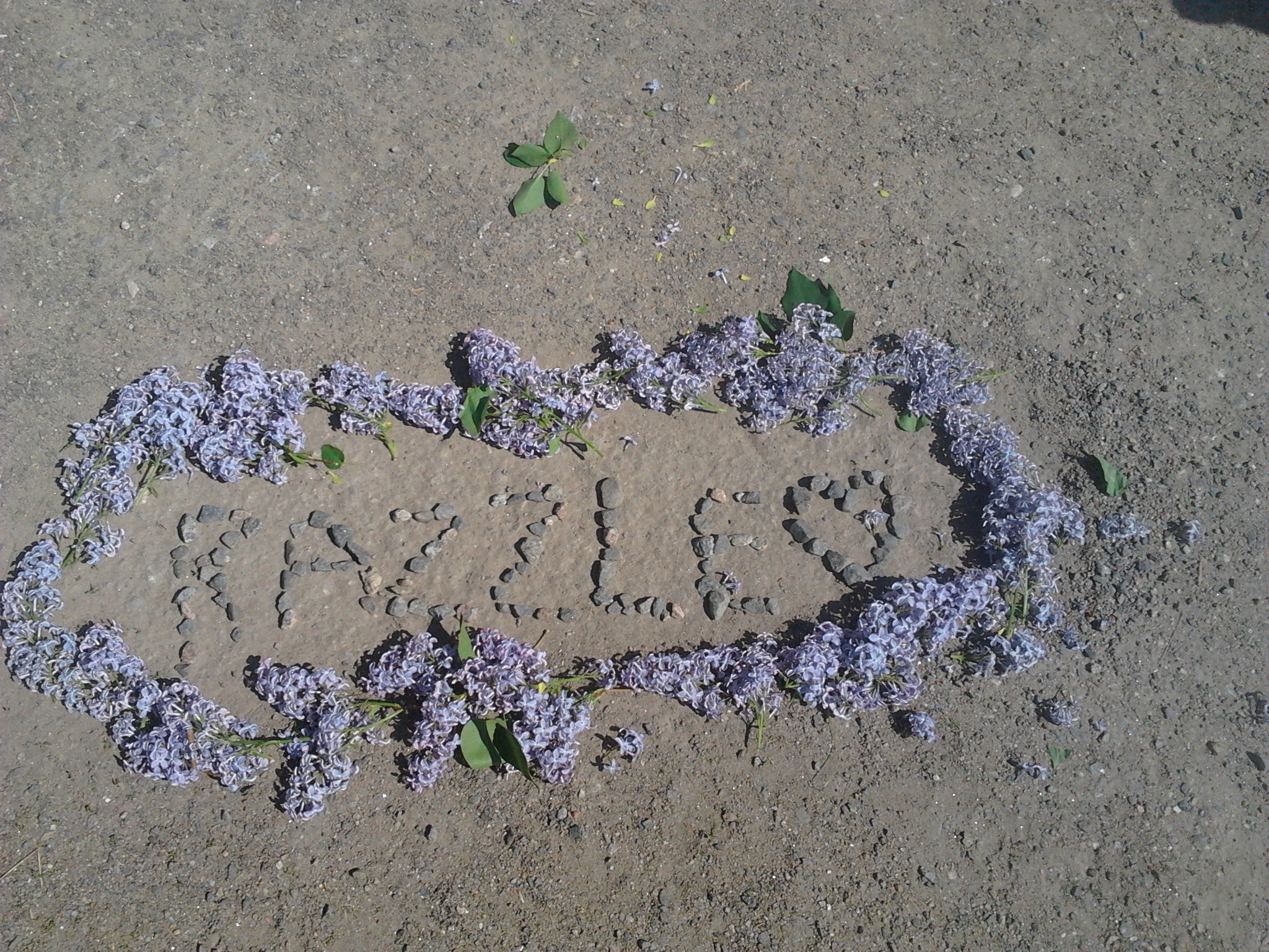 2013-06-03_14.04.05.jpg
