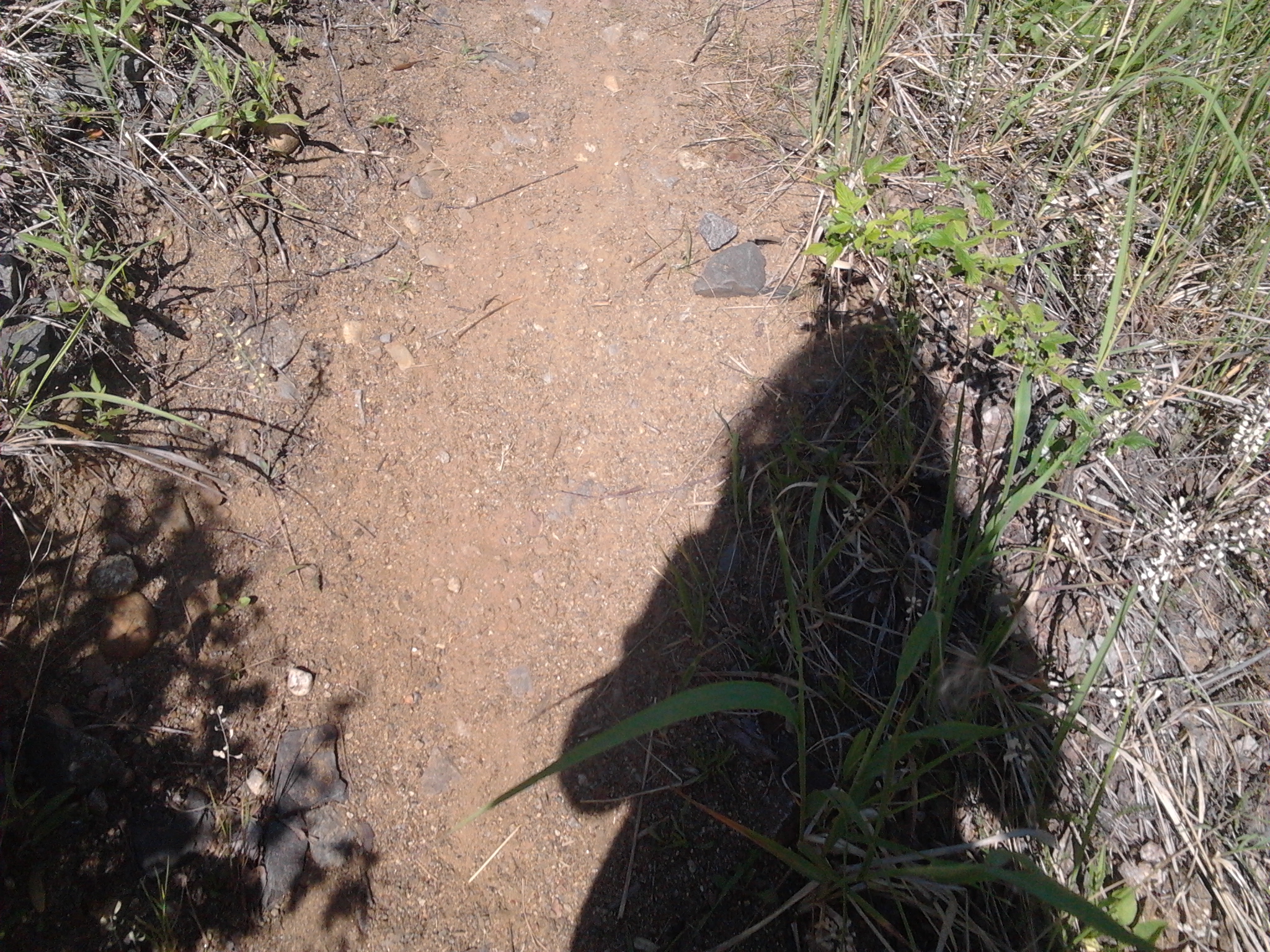 2013-06-07_12.26.24.jpg