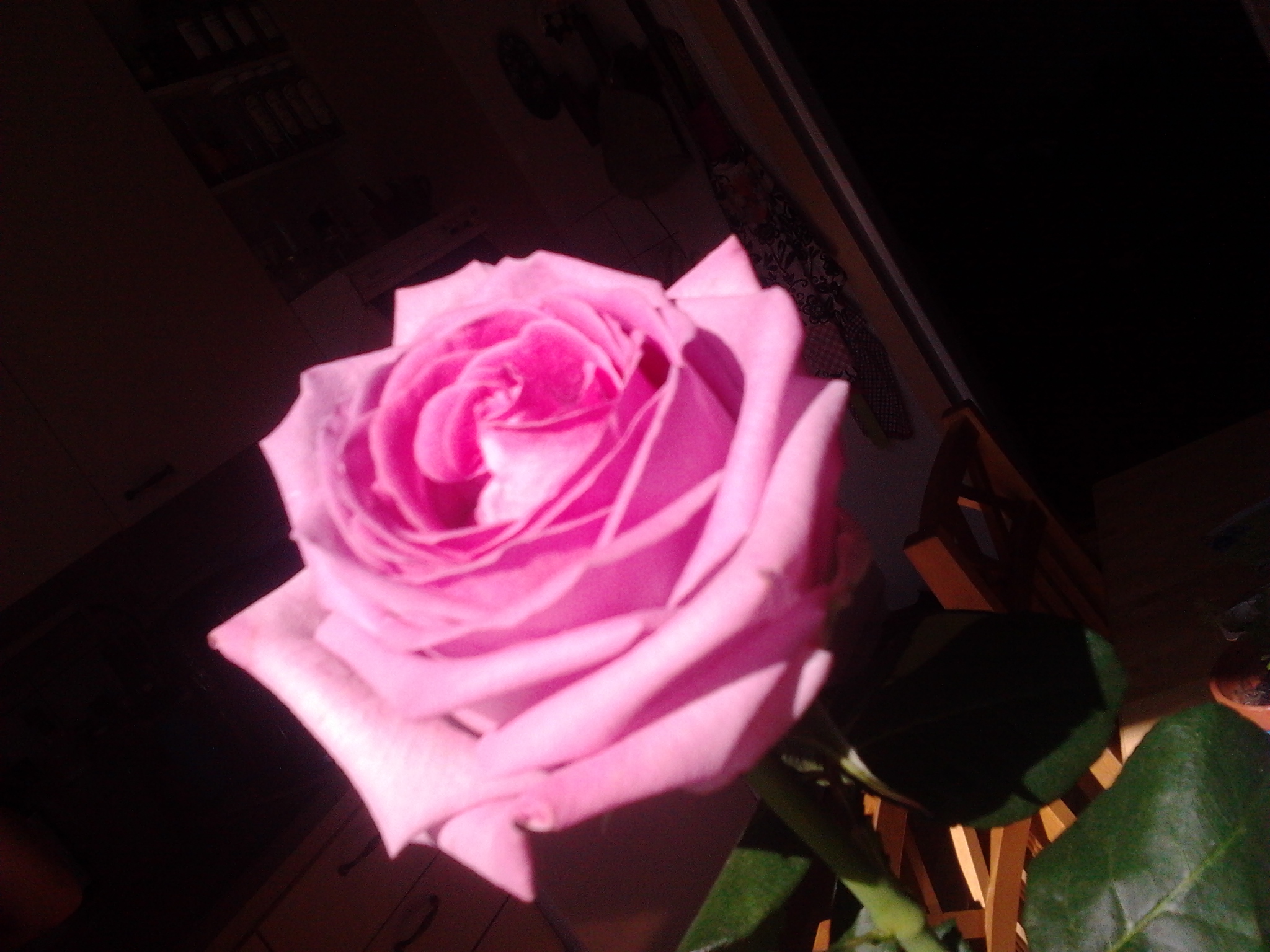 2013-06-07_16.10.52.jpg