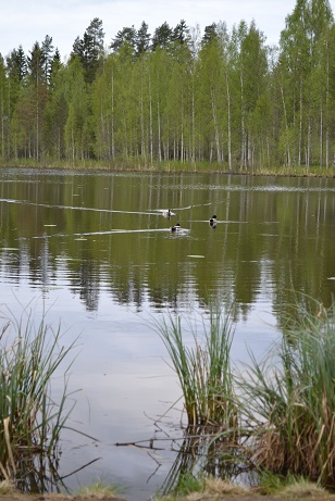 dsc_1600.jpg