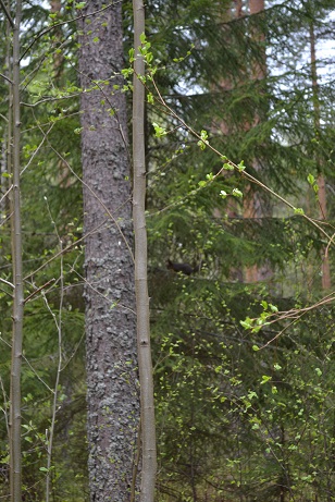 dsc_1621.jpg