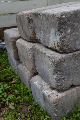 dsc_1626.jpg