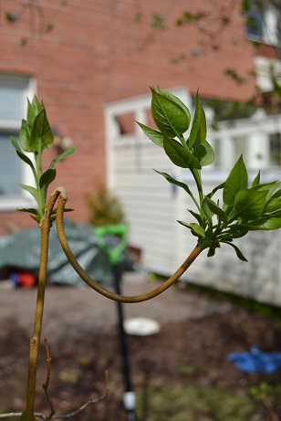 dsc_1634.jpg