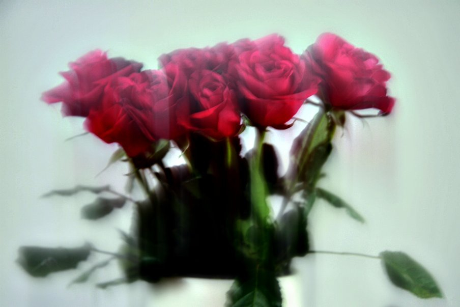 red-roses.jpg