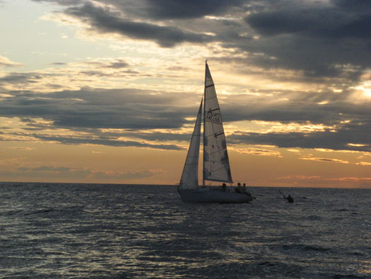 lilytrieste.jpg