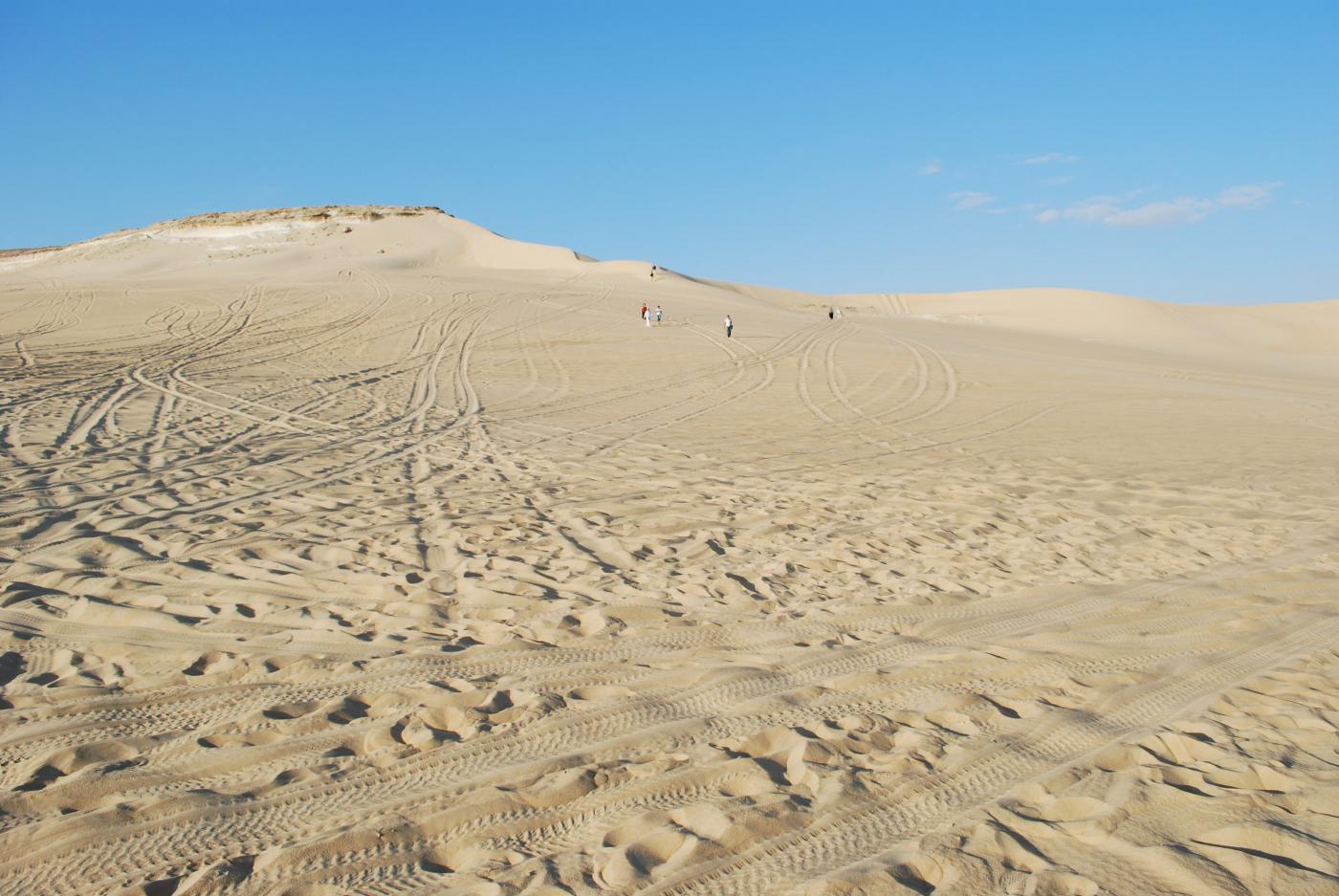 sahara1.jpg