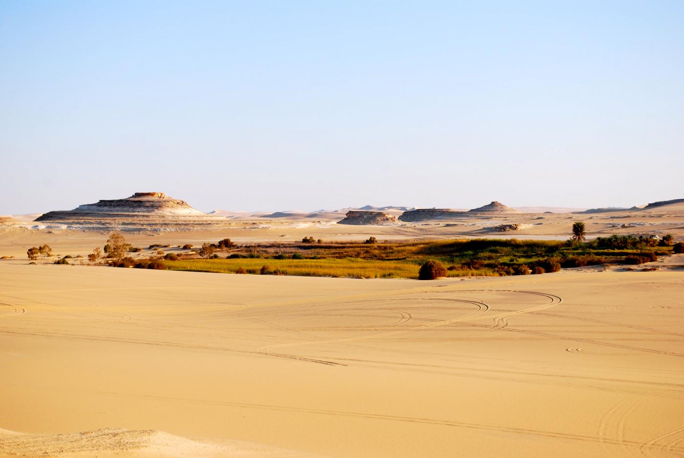sahara2.jpg