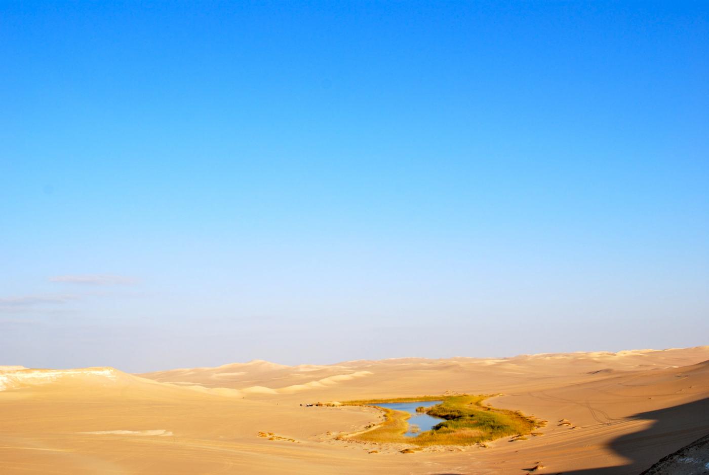 sahara5.jpg