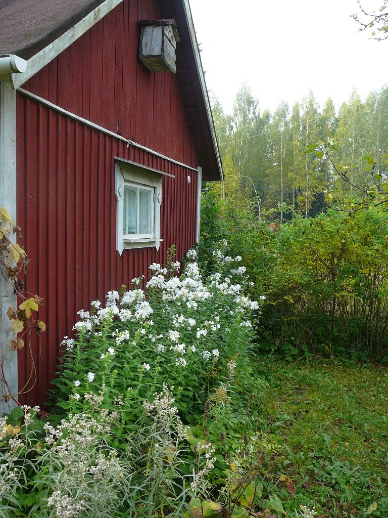kivisto_2010_027.jpg
