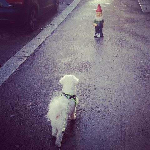 Naughty or nice?