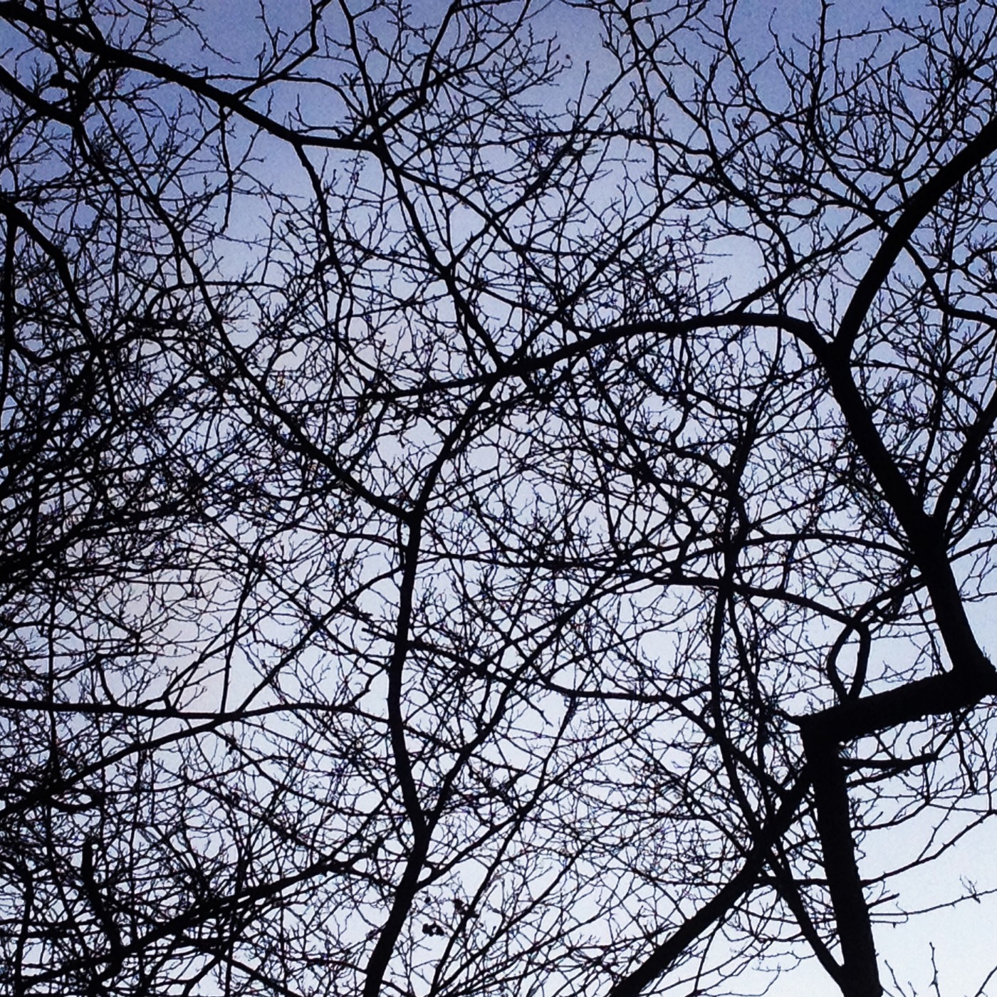 2013-11-08 16.09.38.jpg