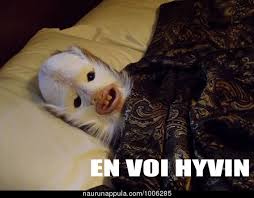 en_voi_hyvin1.jpeg