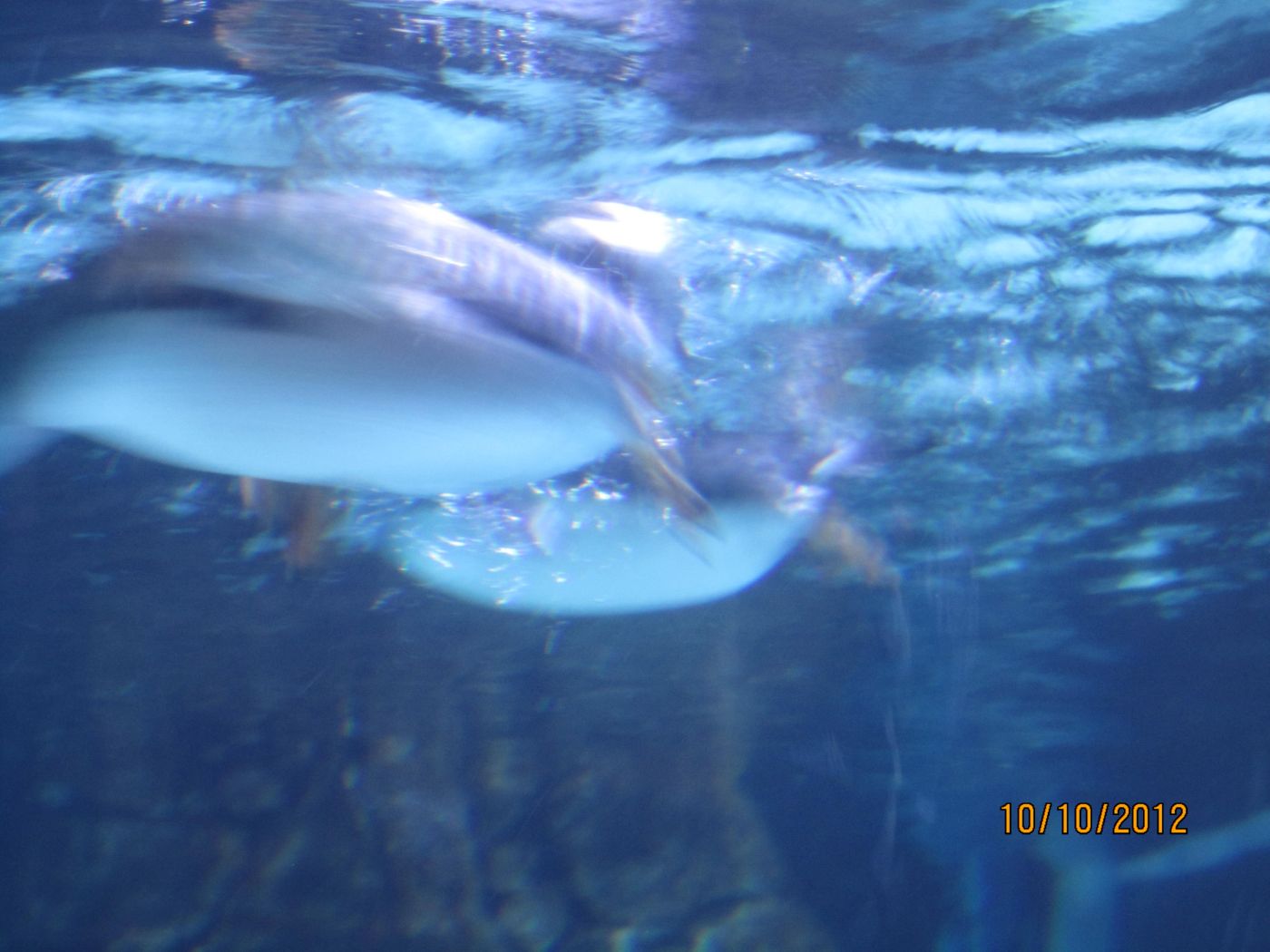 IMG_1315.JPG
