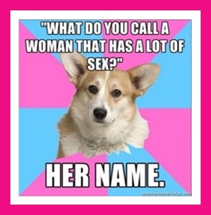 dog.jpg dog.jpg