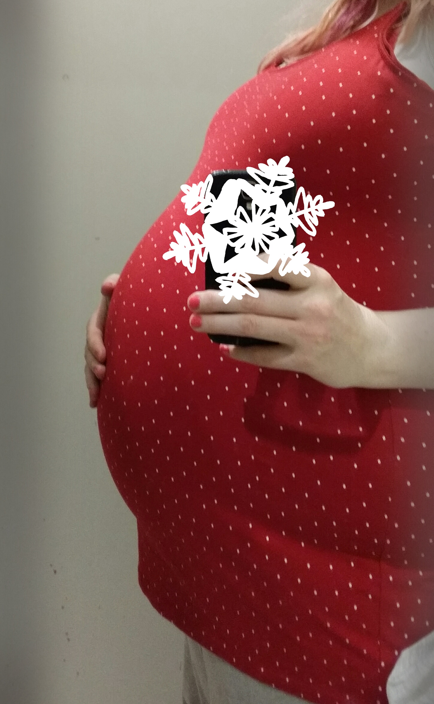 Mammutin viimeiset möhkäleviikot