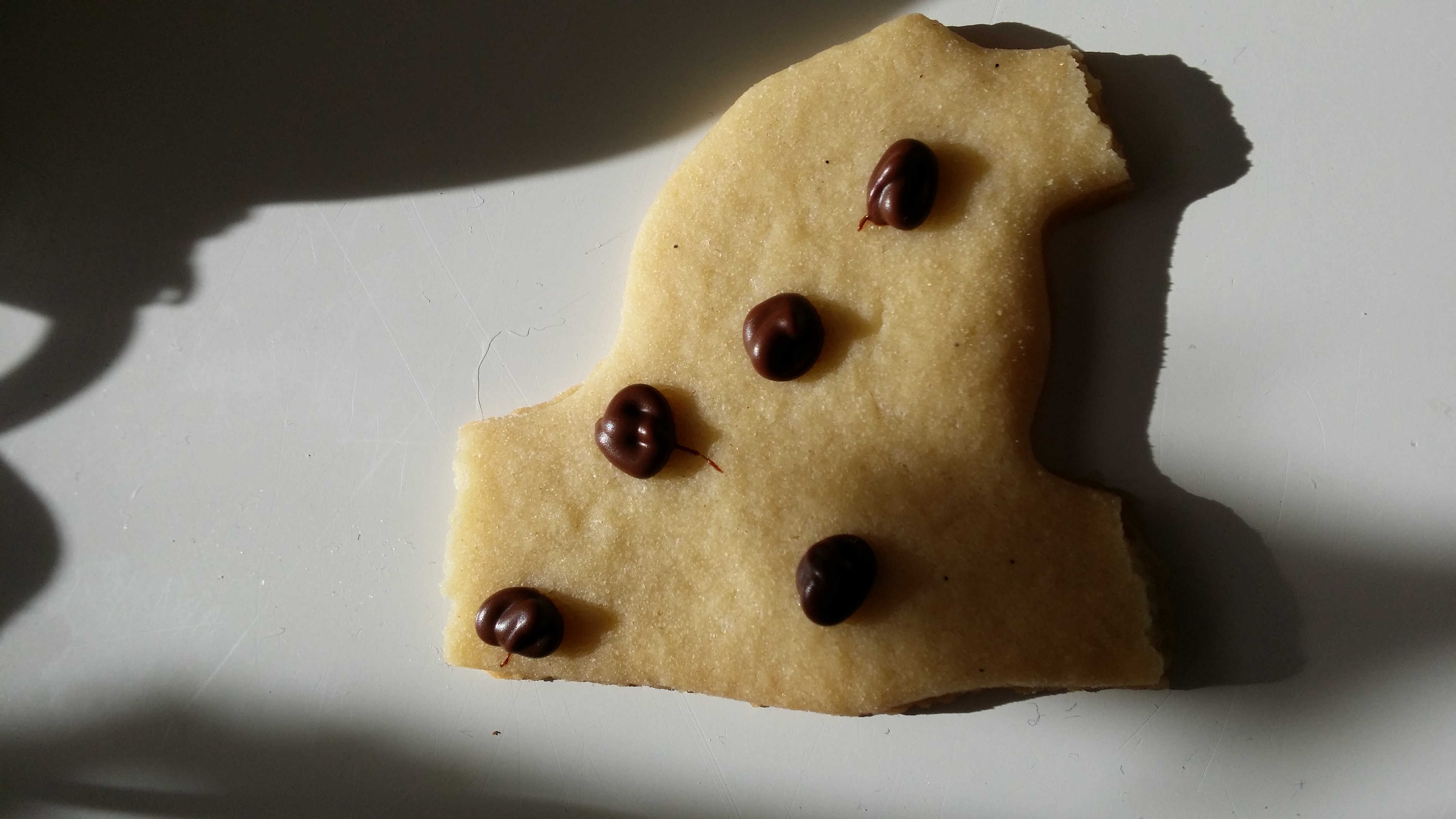 Känkkäränkkäpäiviä