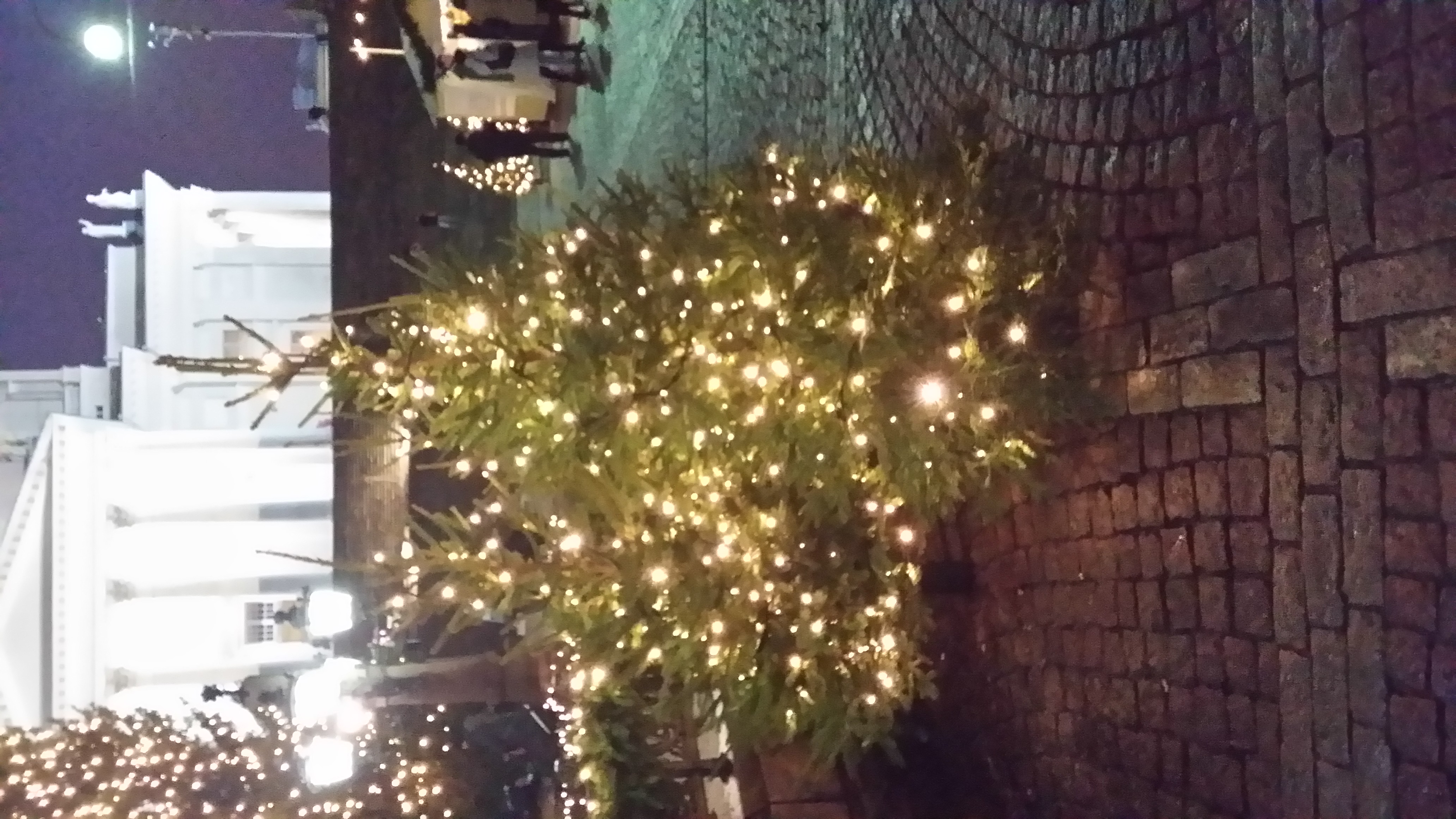20151206_161246.jpg