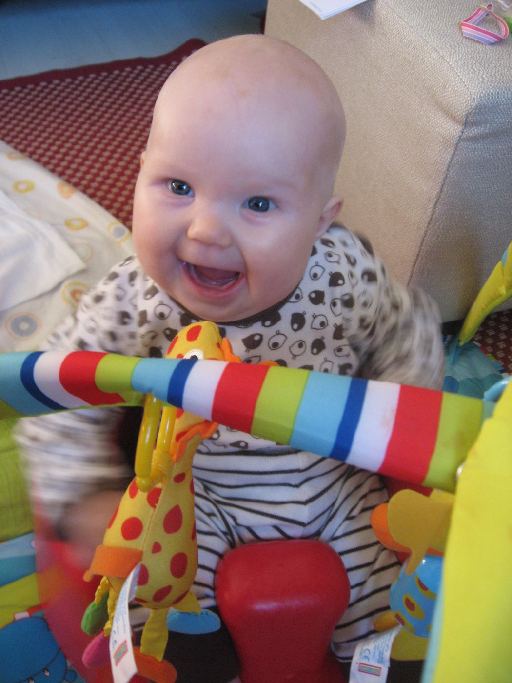 lilja_loka-marraskuussa_2012_048.jpg