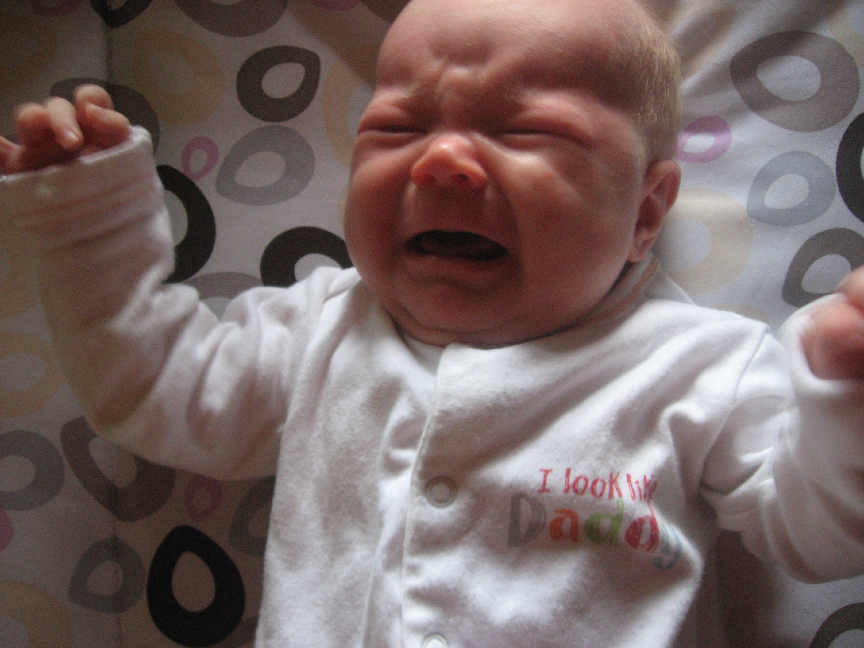lilja_mokilla_heina-elokuussa_2012_068_0.jpg