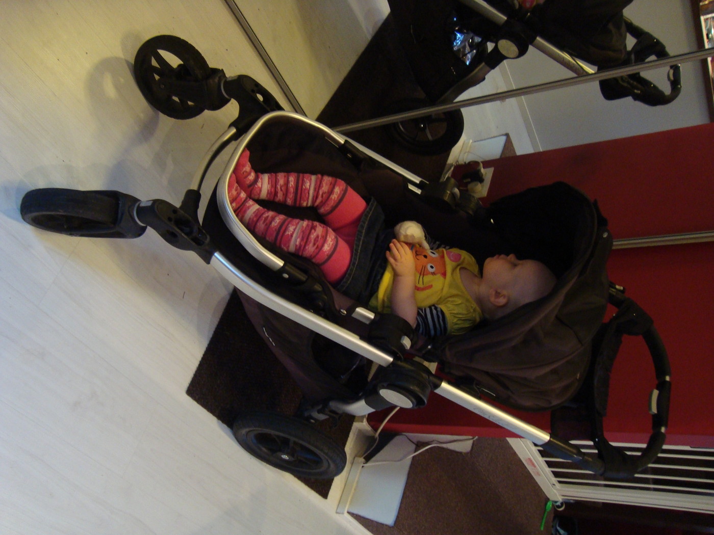 DSC05056.JPG