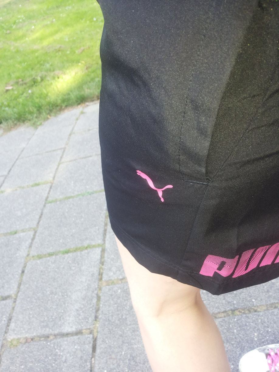 puma.jpg