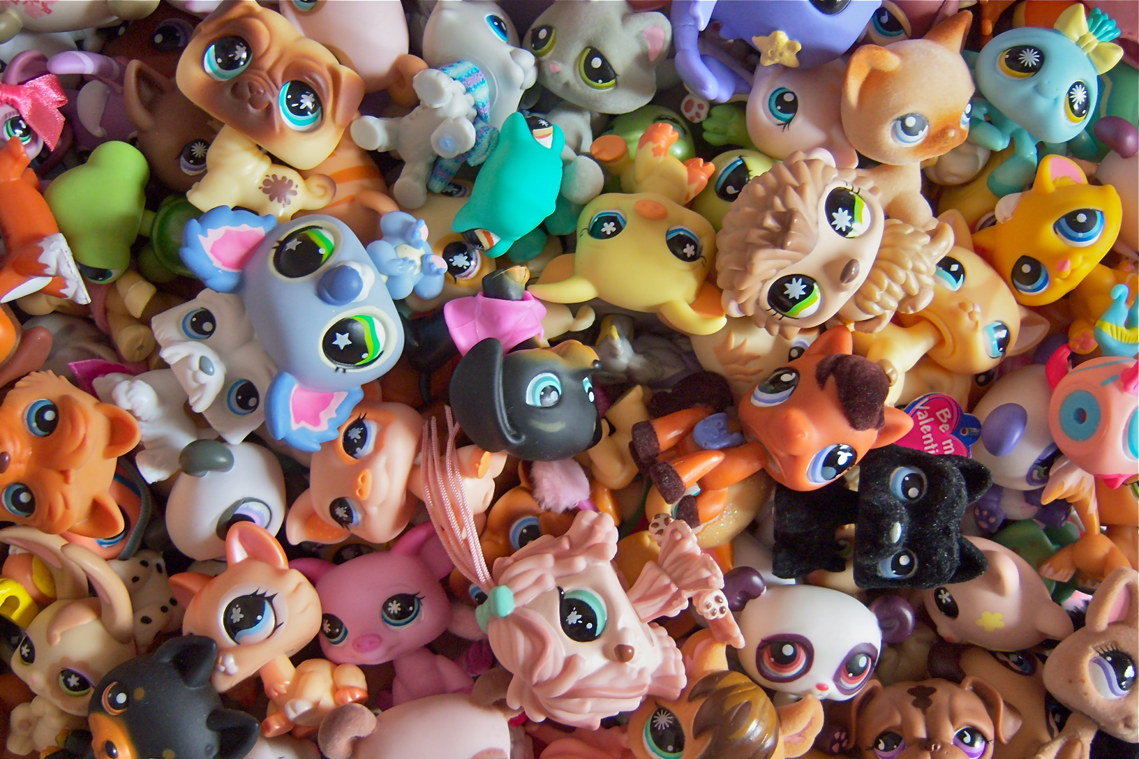 pet_shop.jpg