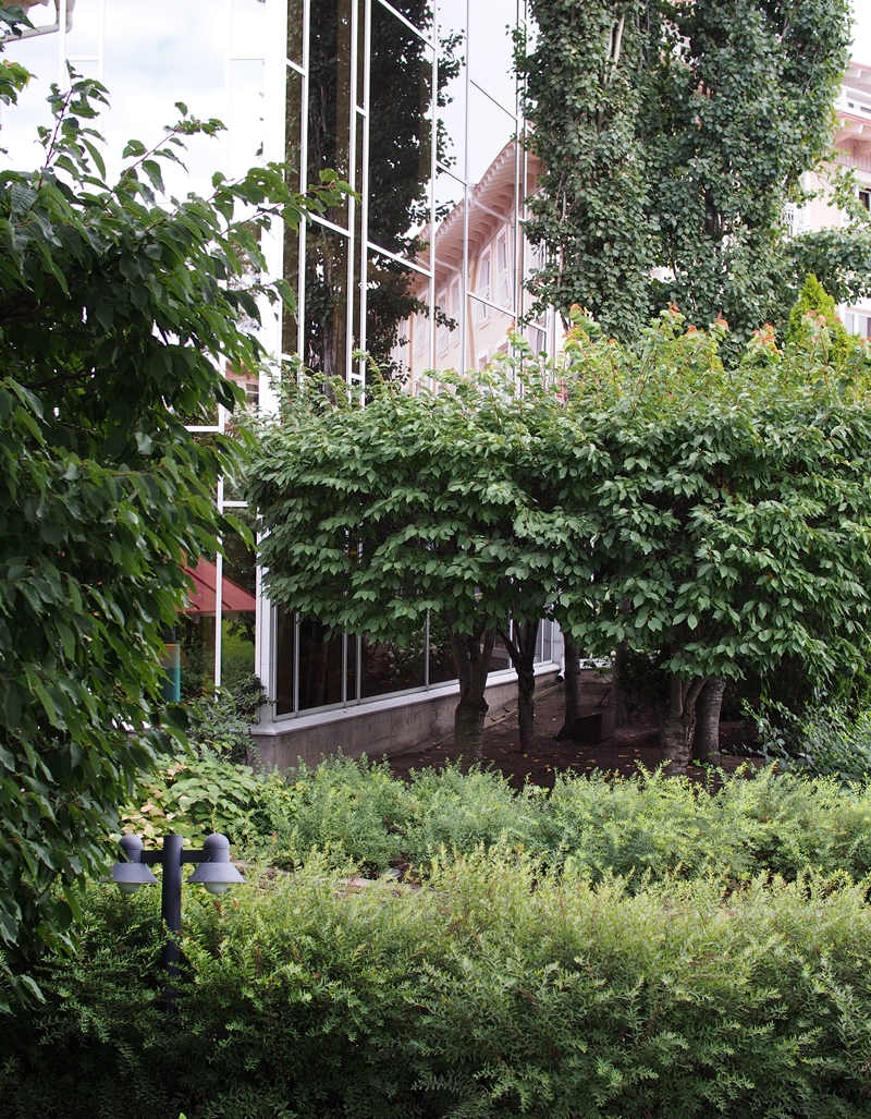 P8300290.JPG