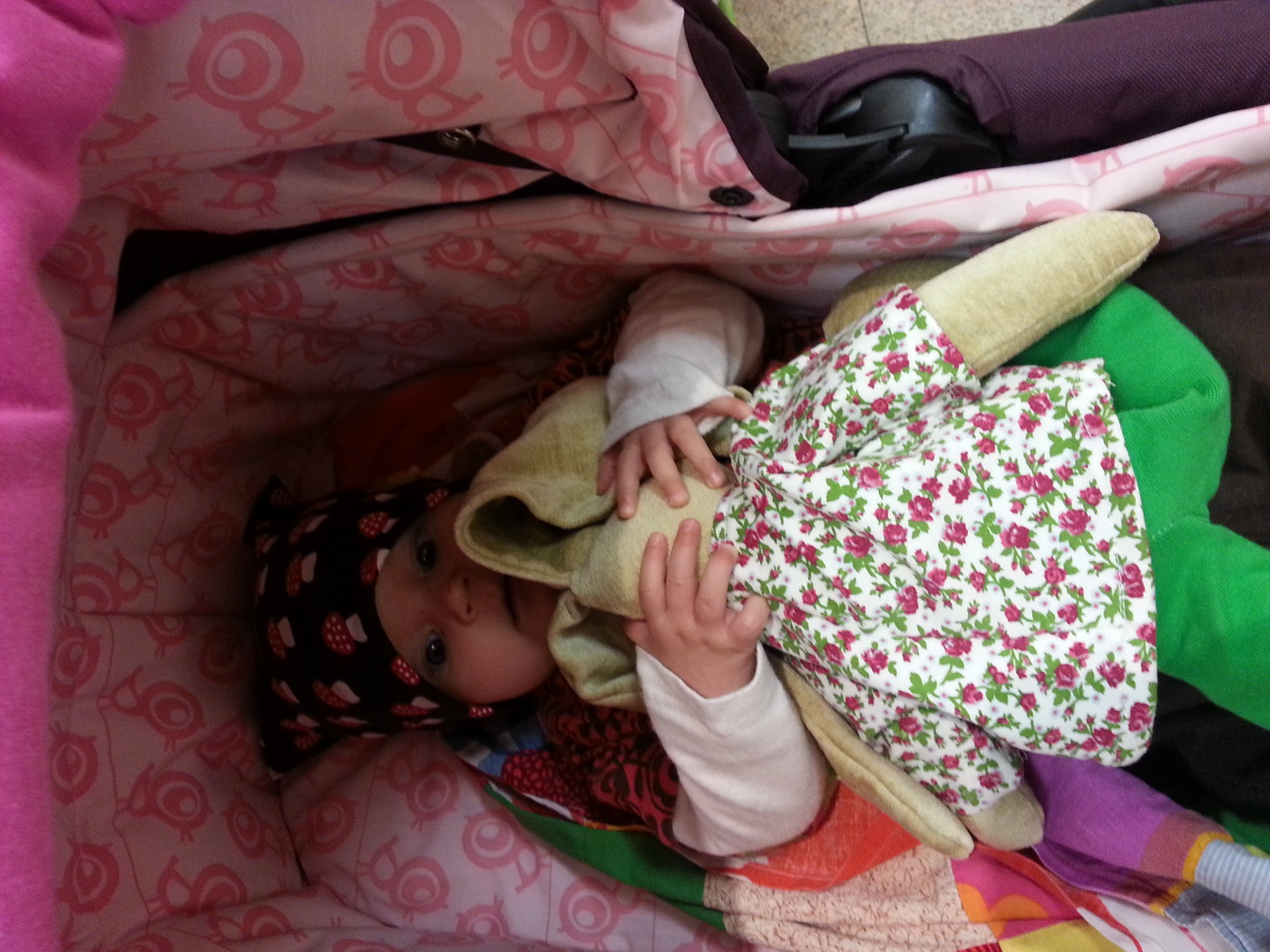 20130817_133559.jpg