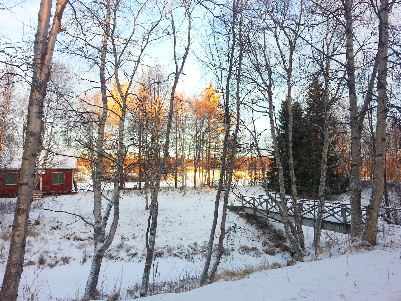 20131111_110206.jpg
