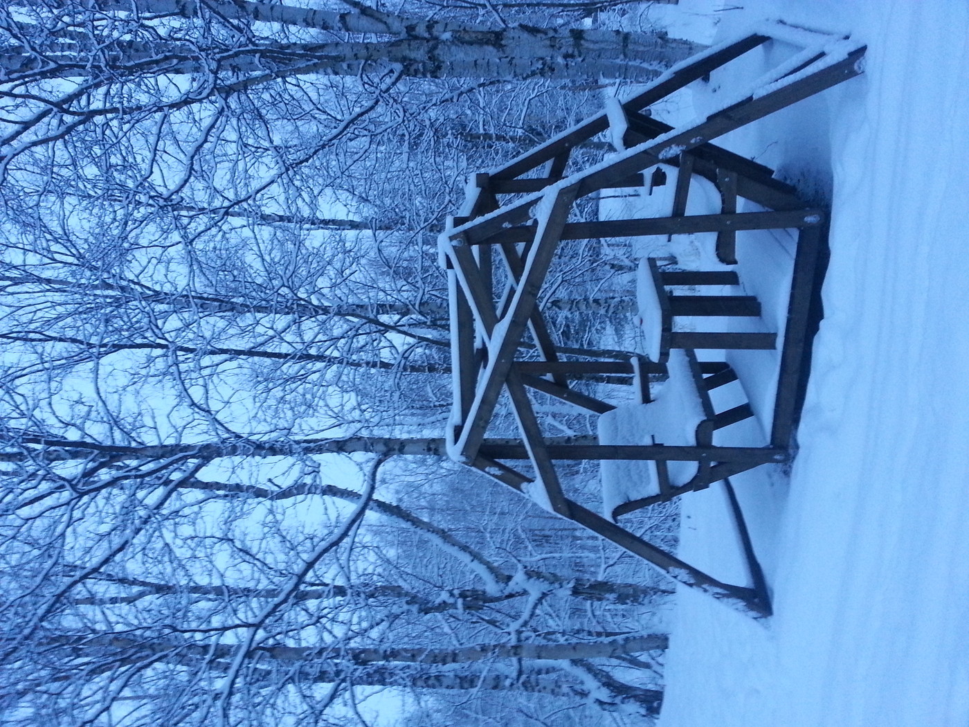 20140108_104522.jpg