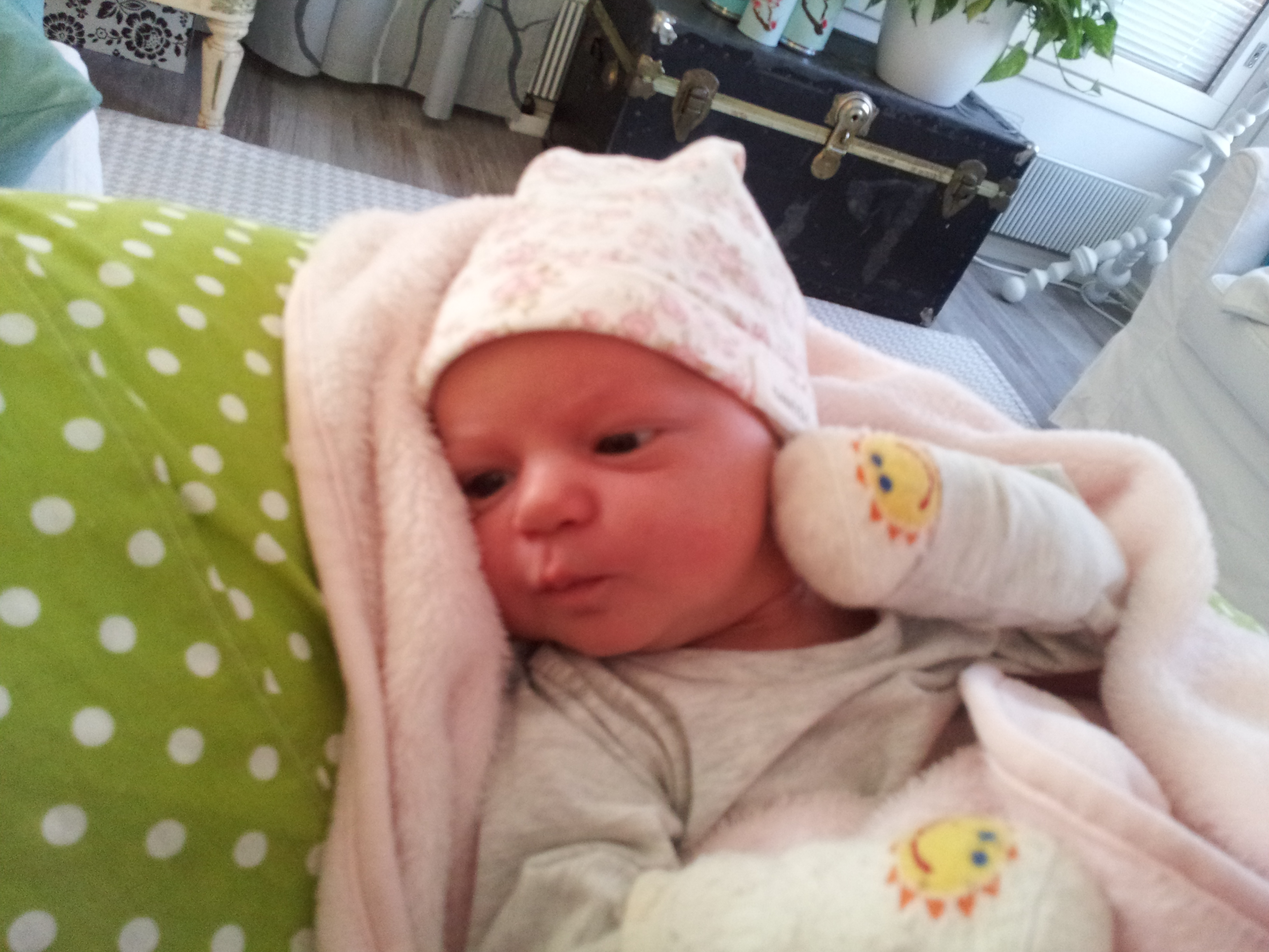 20130321_071651.jpg