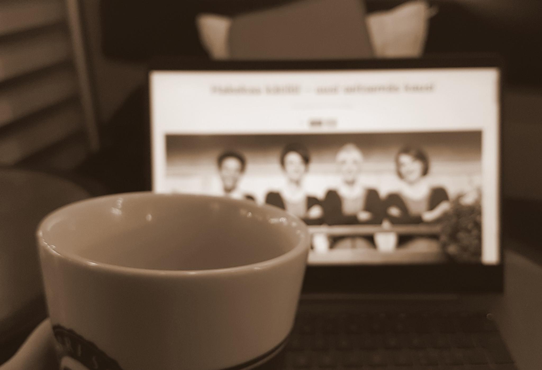 Tv N Suosikkikatilot Palaavat Ruutuun Uudet 7 Kauden Jaksot