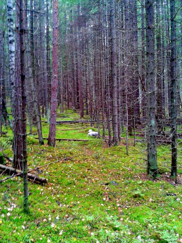 2013-09-022.jpg