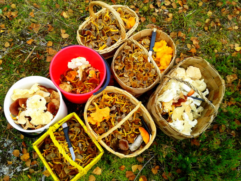2013-09-023.jpg
