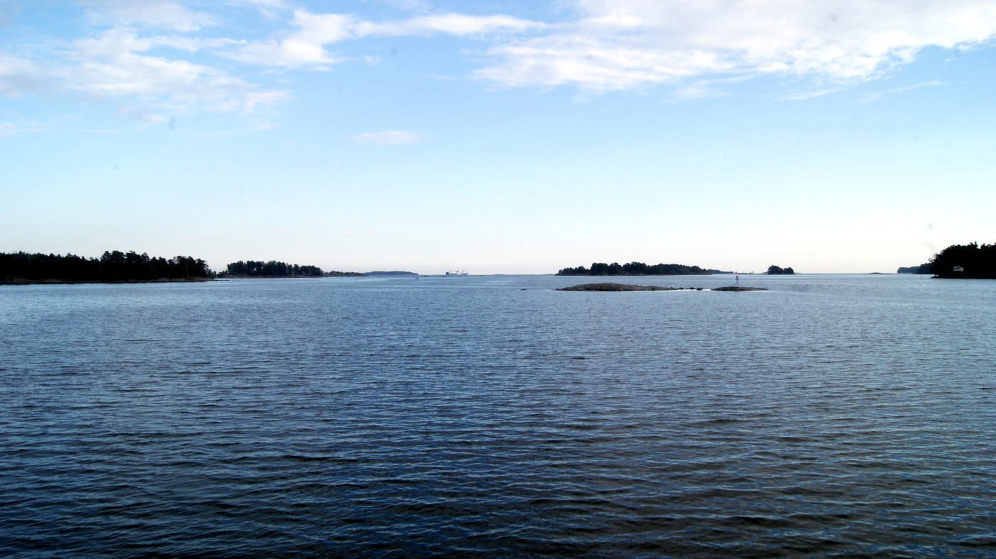 DSC08215.JPG