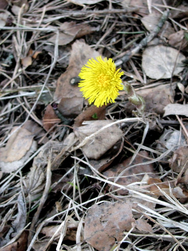 img_9970.jpg