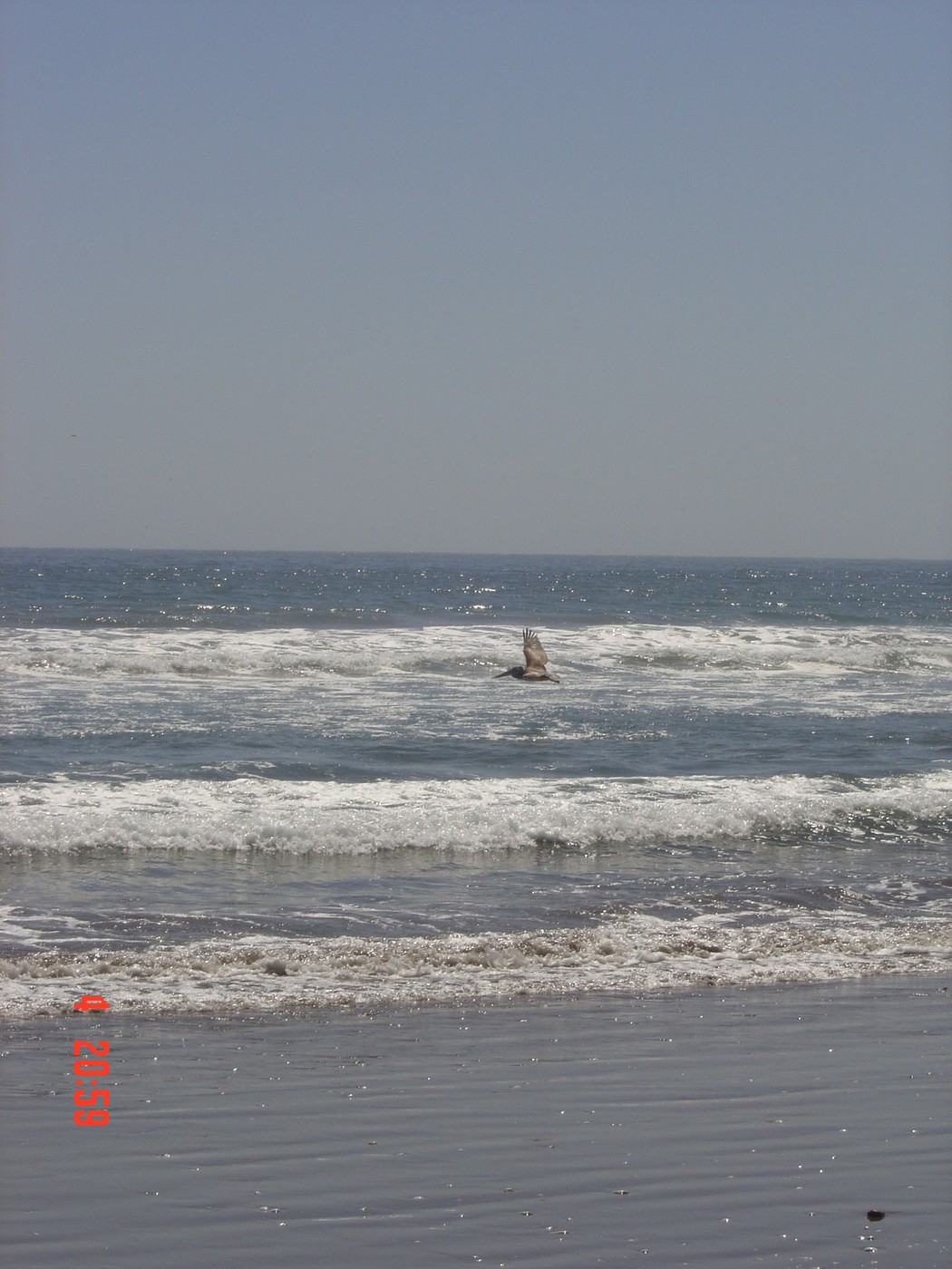DSC00071.JPG