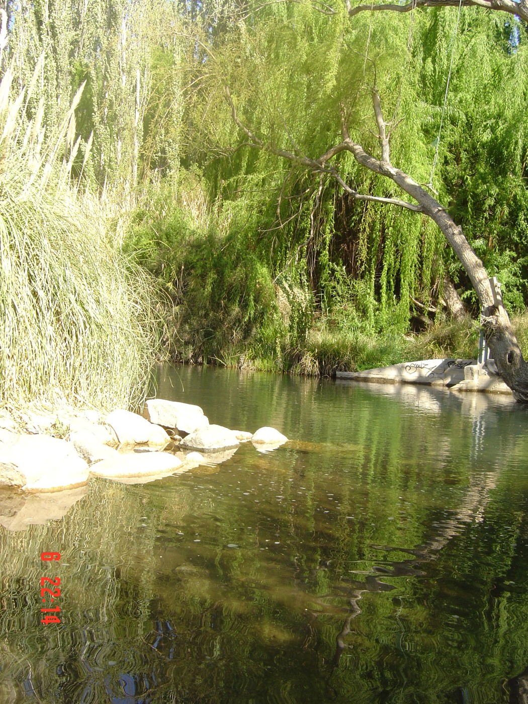 DSC00092.JPG