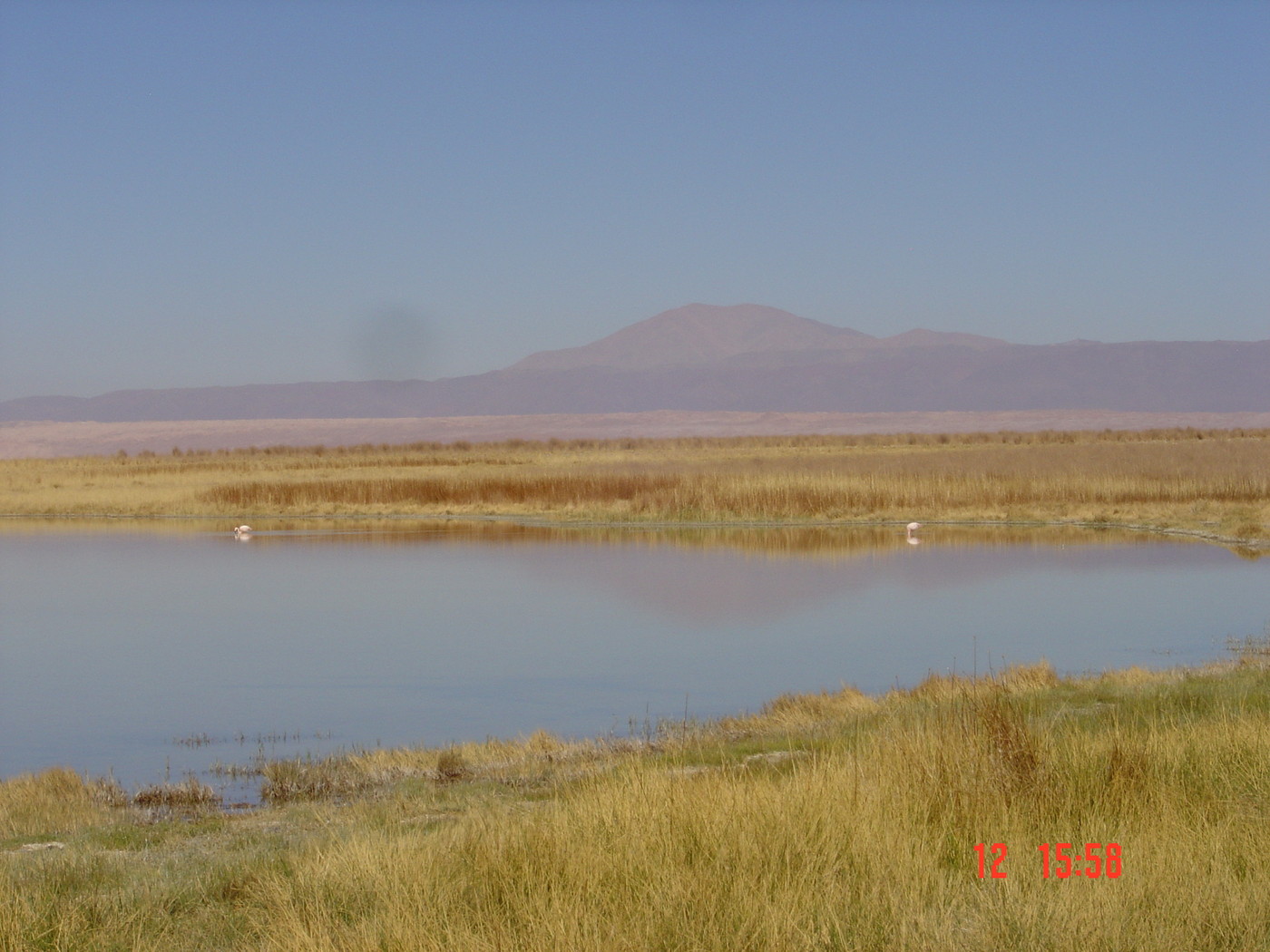 DSC00145.JPG