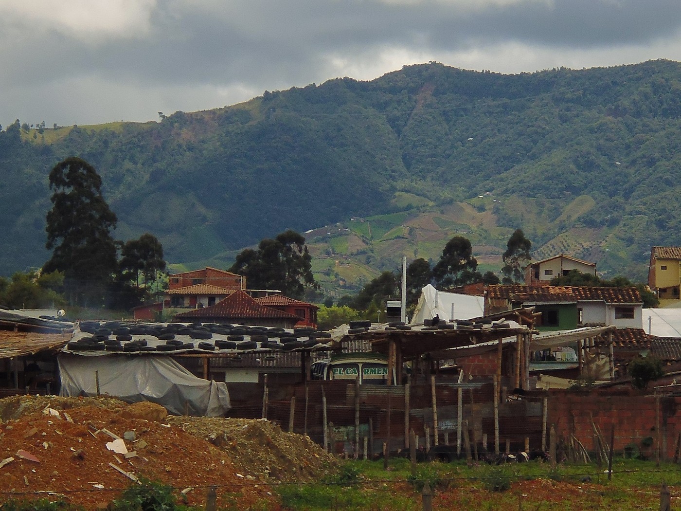 P1000458.1.jpg