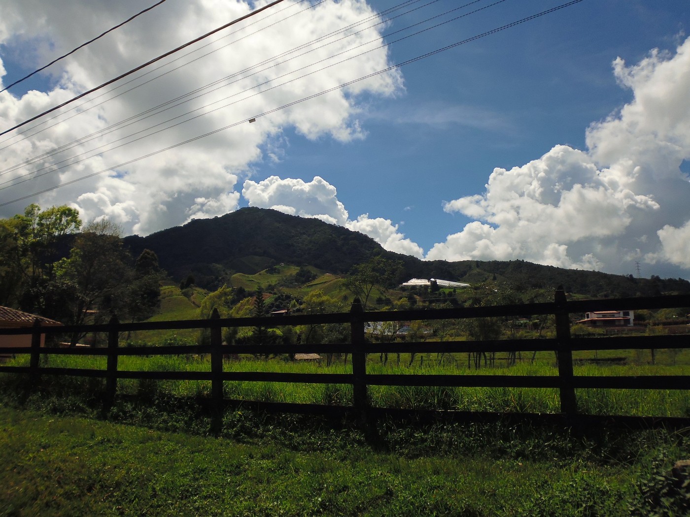 P1000472.1.jpg