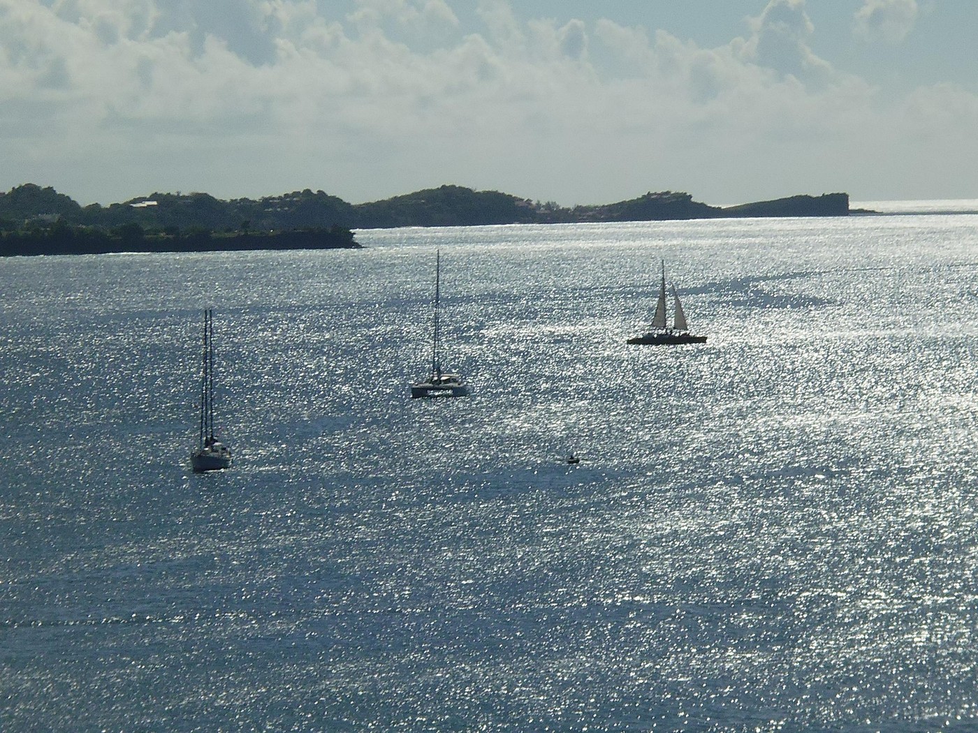 P1000645.1.JPG