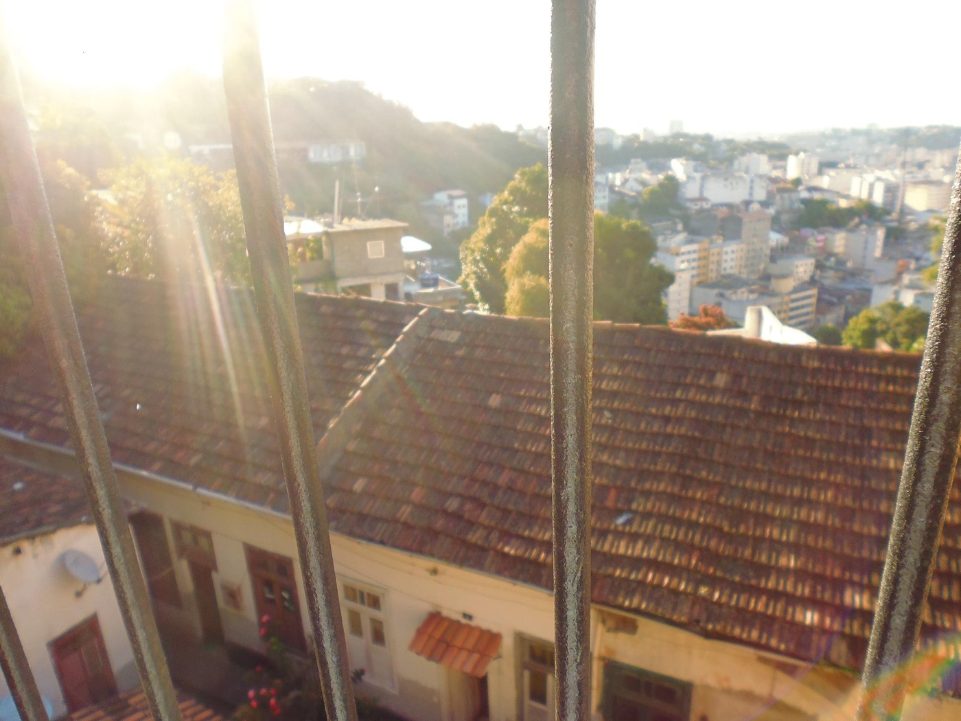 P10100100.1.JPG