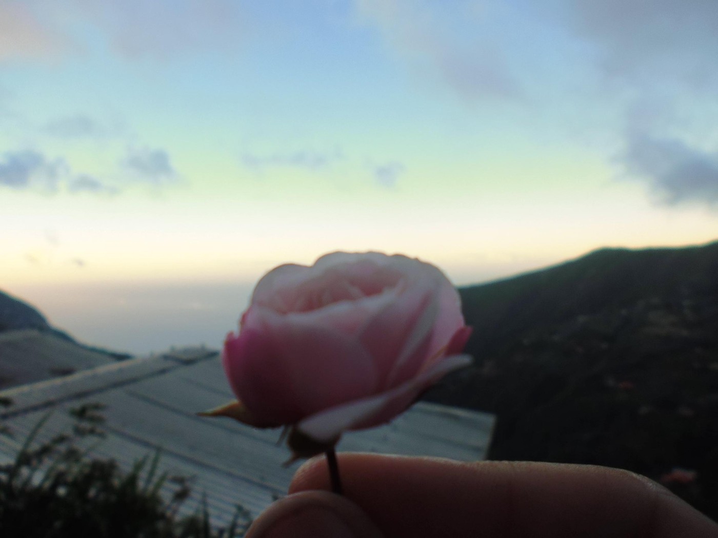 P1010025.jpg.1.jpg