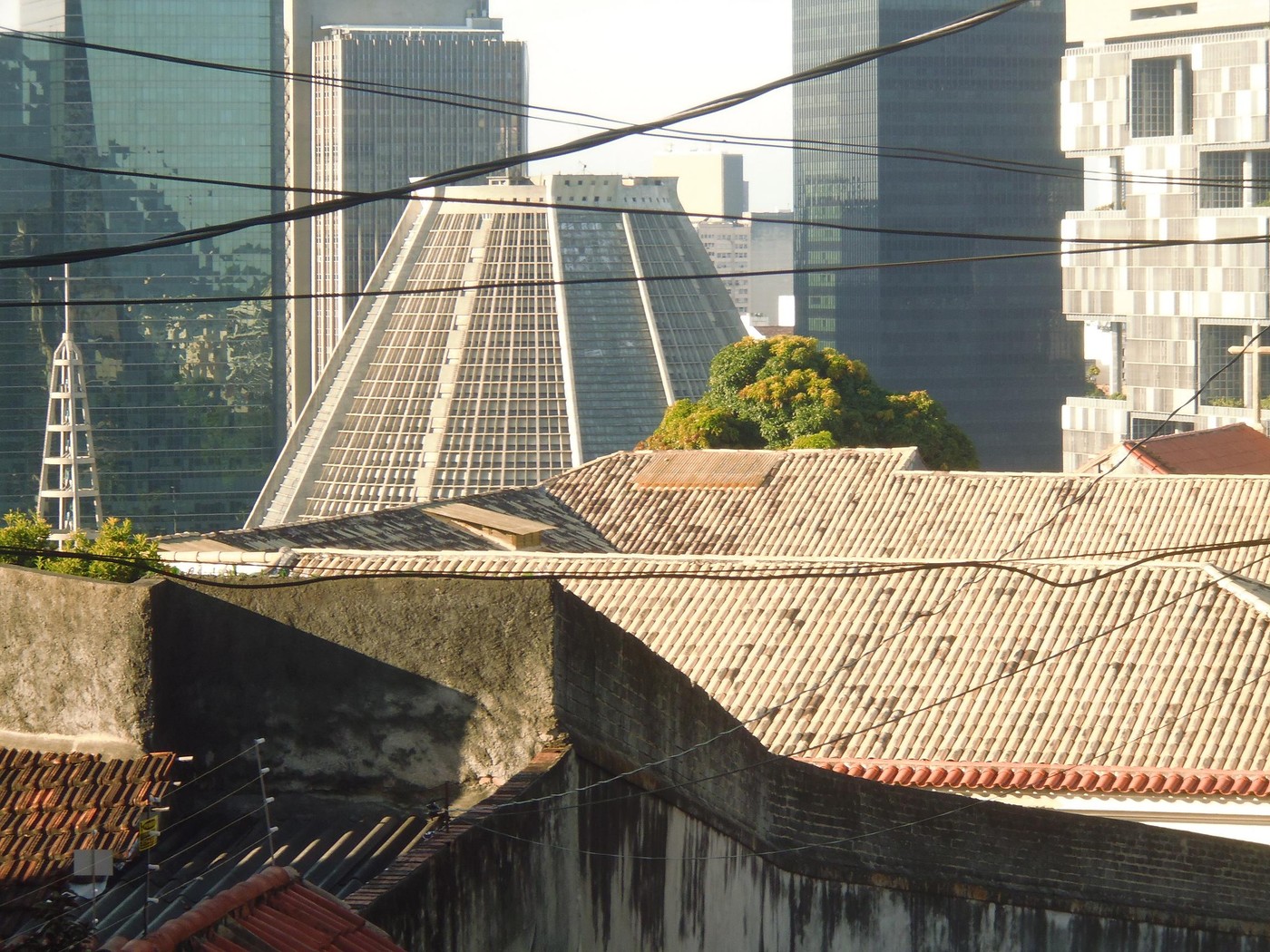 P1010094.1.JPG