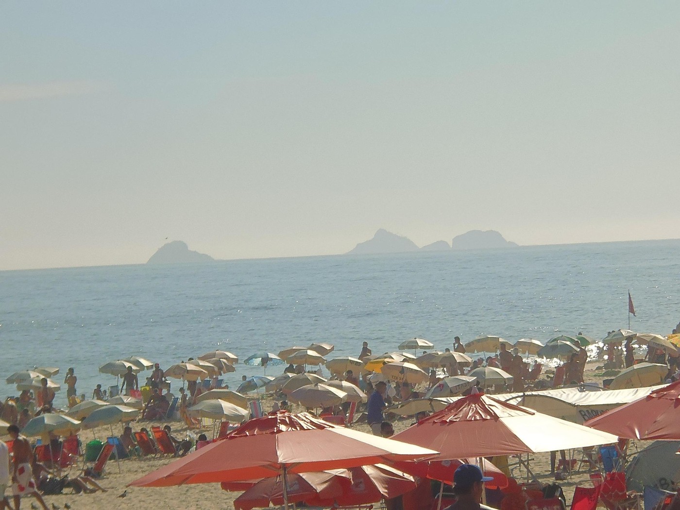 P1010113.1.JPG