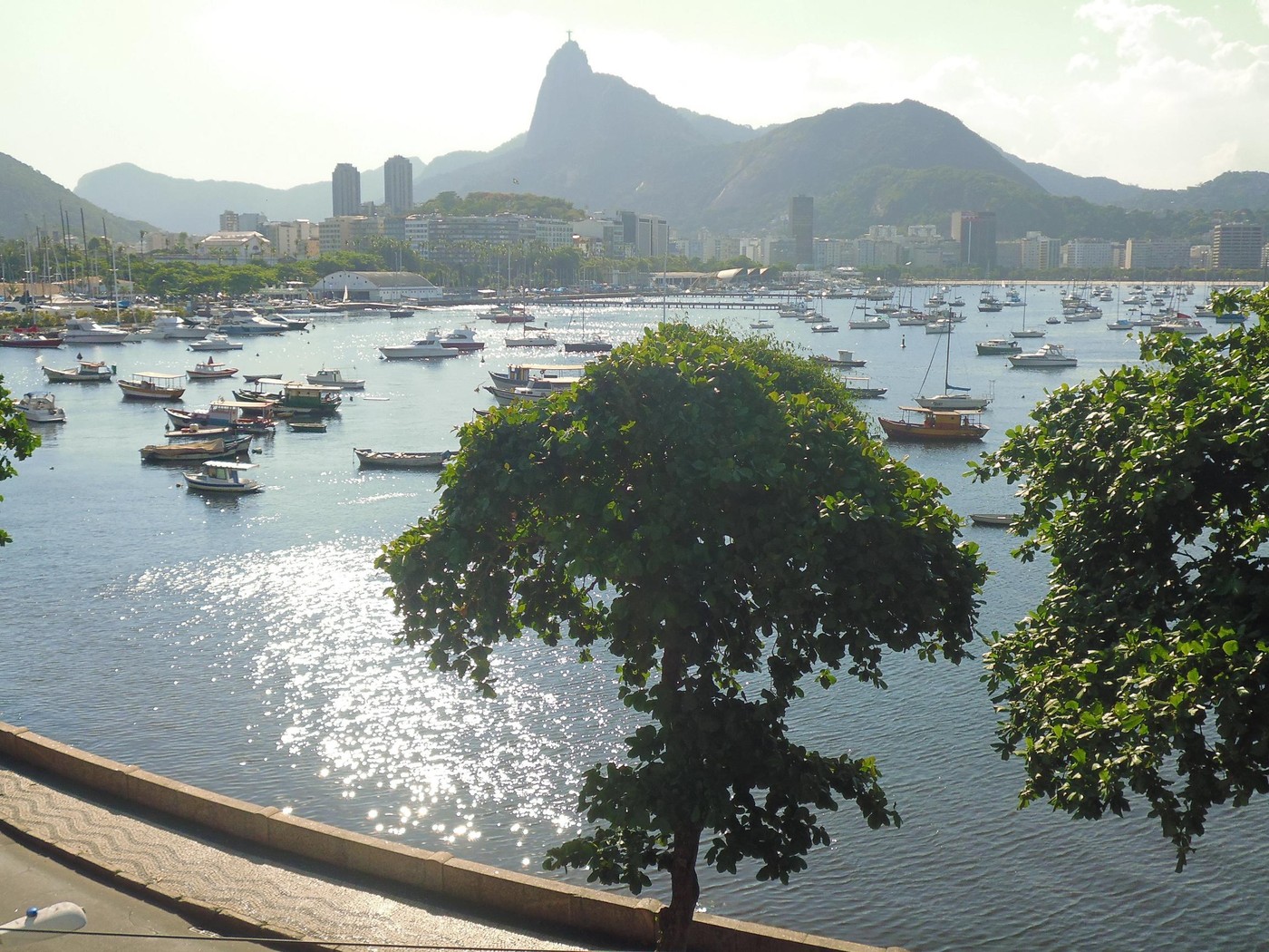 P1010140.1.JPG
