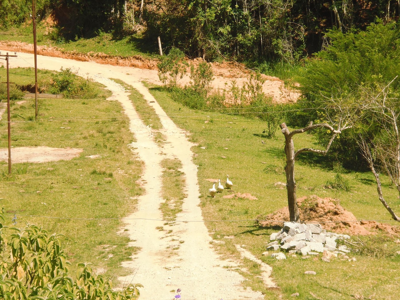 P1010170.1.JPG