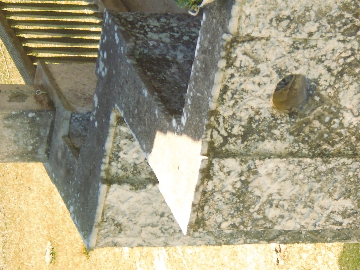 P1010175.1.JPG